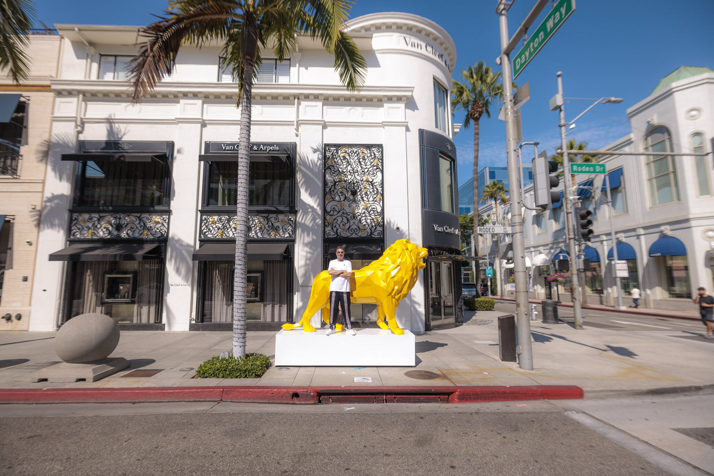 Yellow Lion