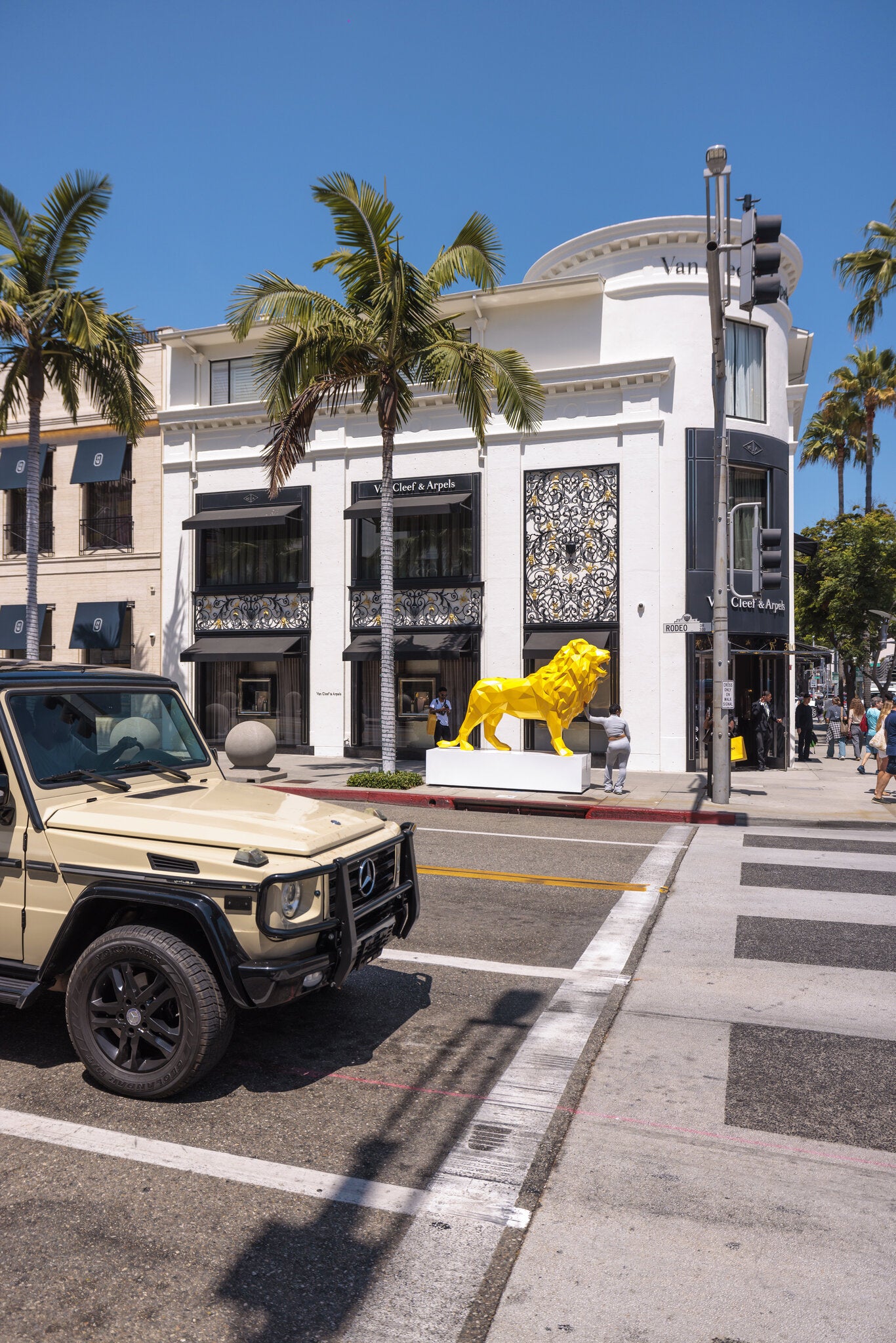 Yellow Lion