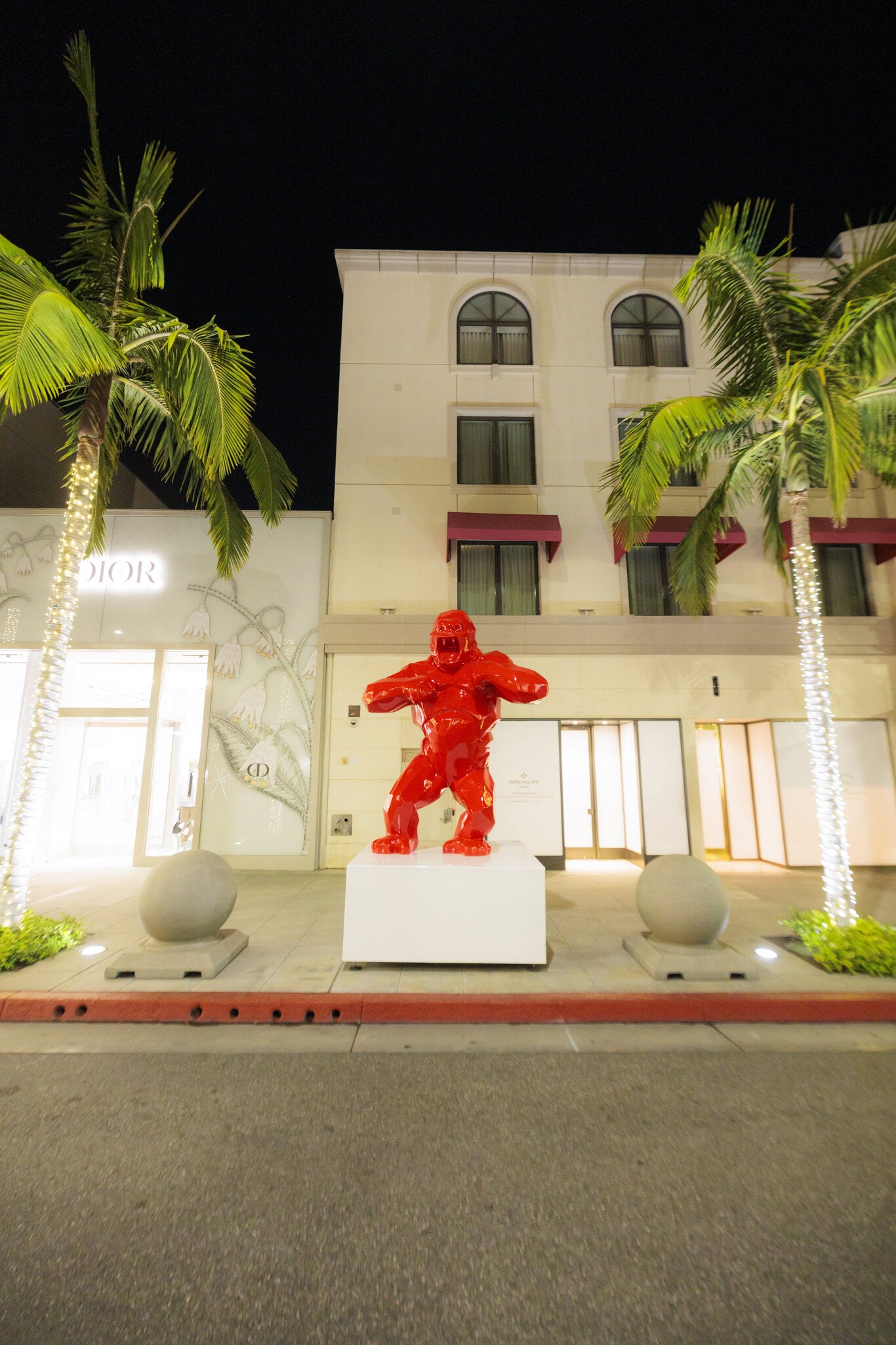 Wild Kong