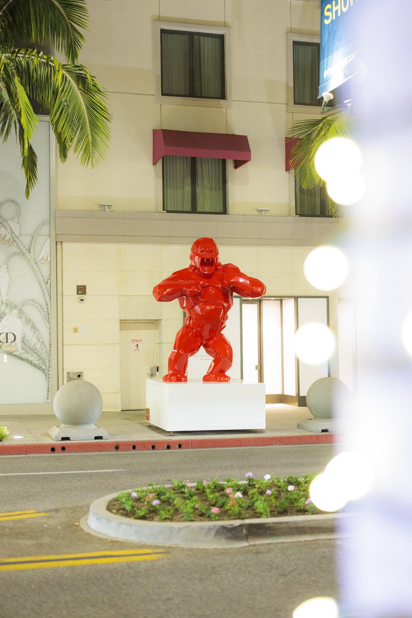 Wild Kong