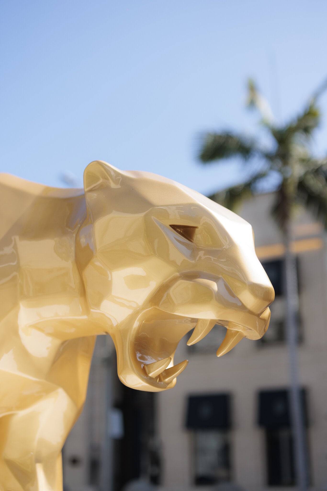Gold Panther