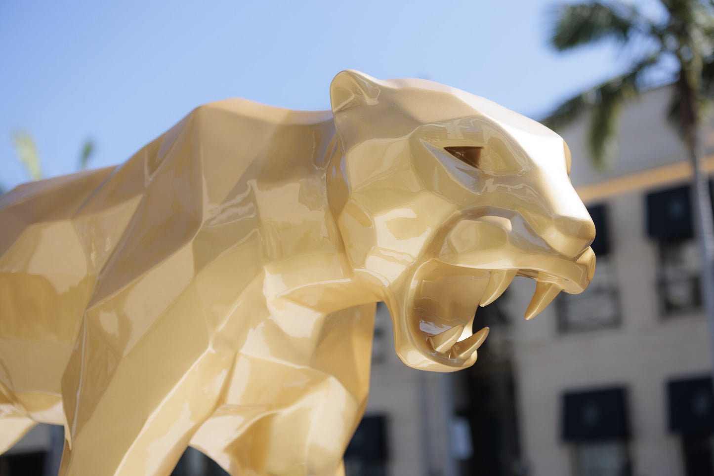Gold Panther