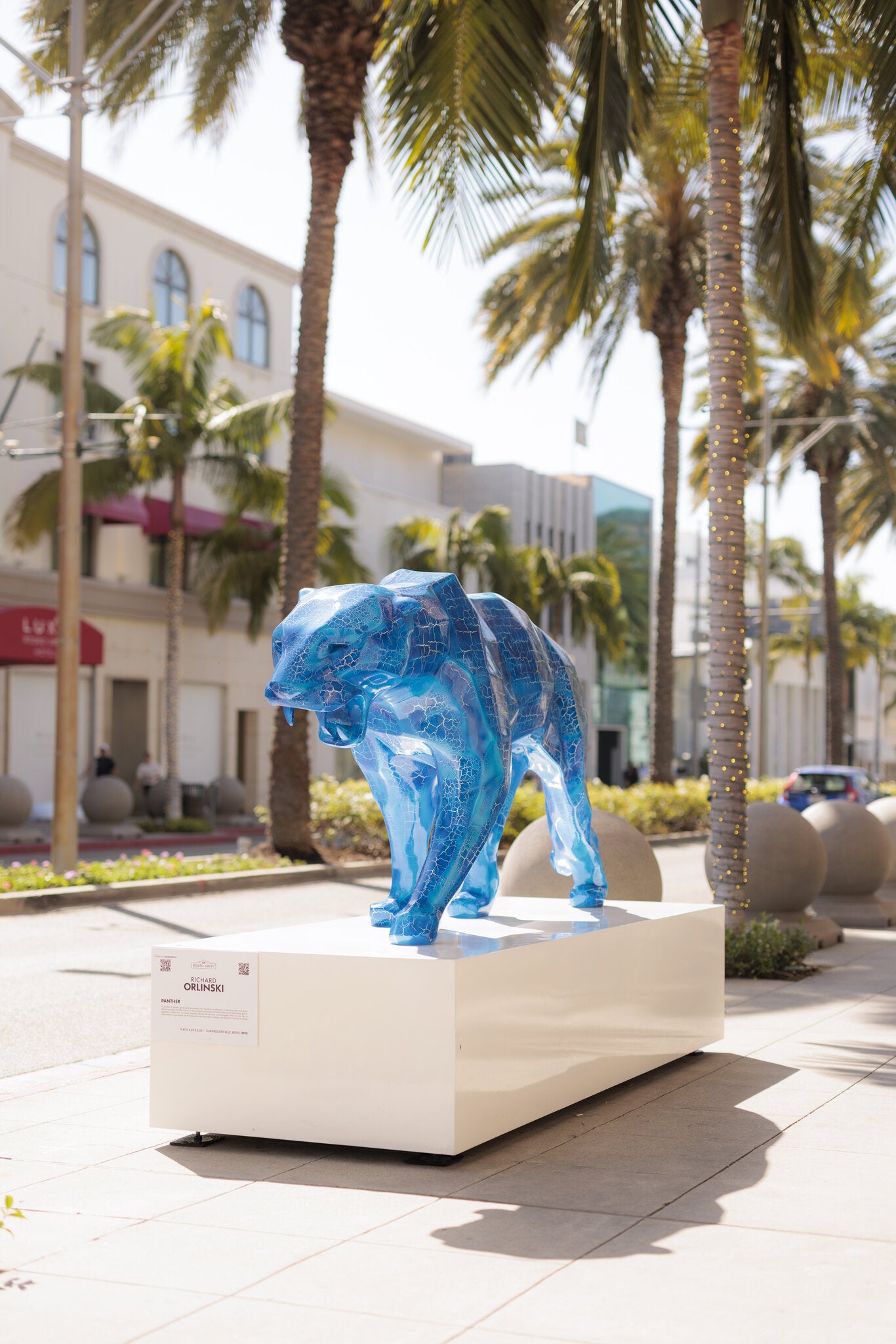 Panther Luminescent Blue Night